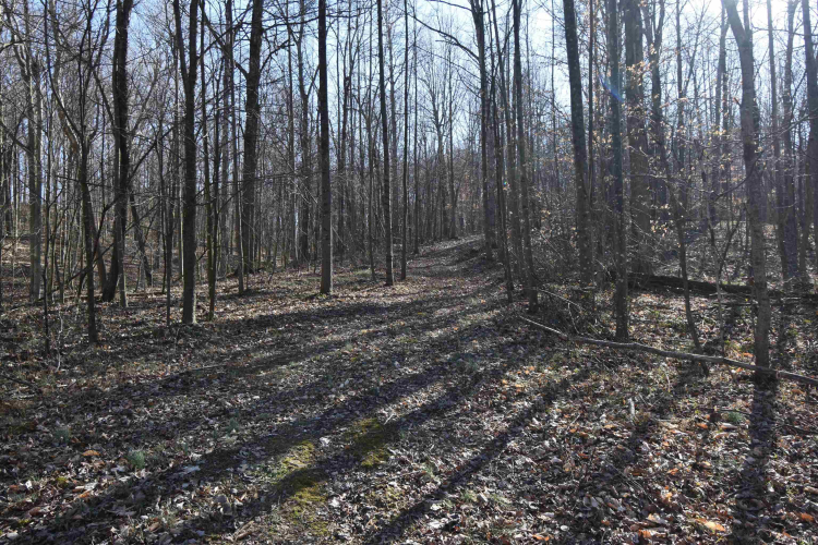 Listing Image 17