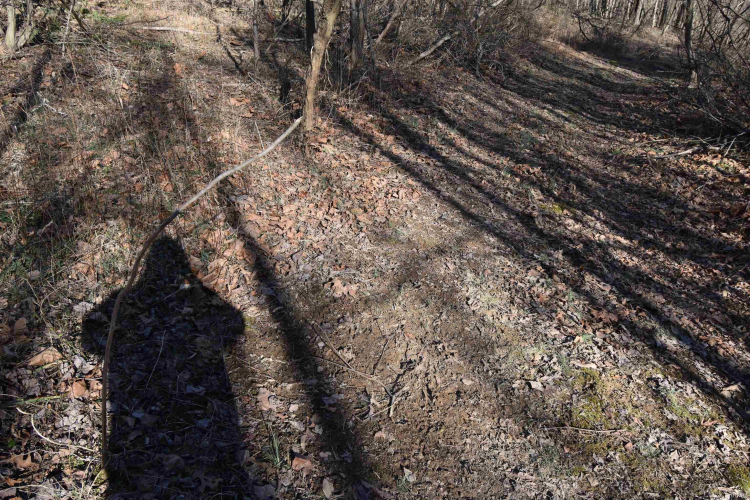 Listing Image 21