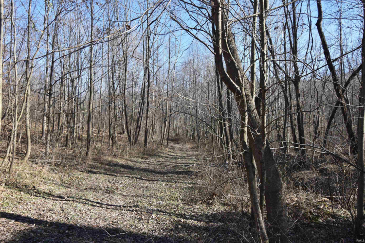 Listing Image 23