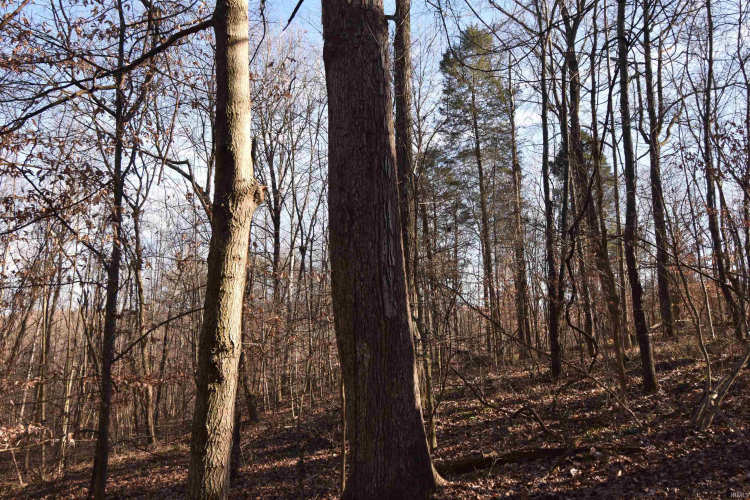 Listing Image 25