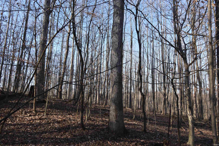 Listing Image 31