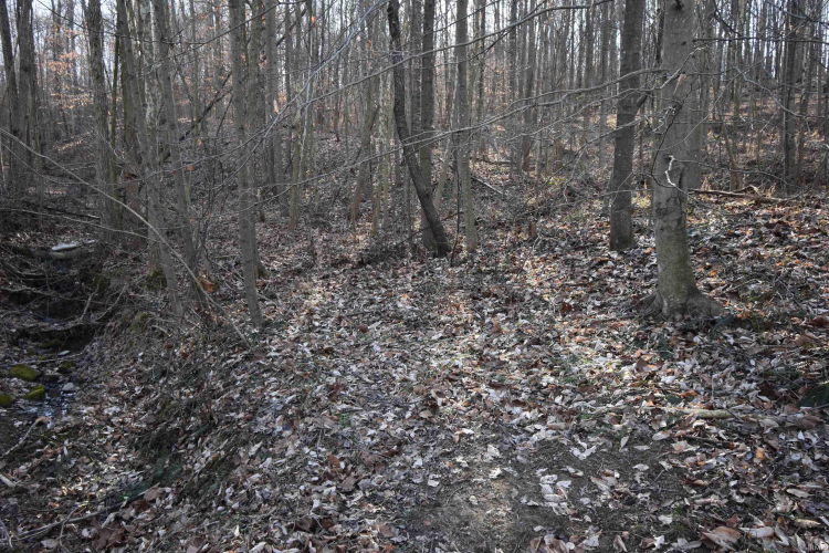 Listing Image 32