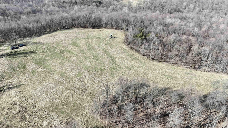 Listing Image 8