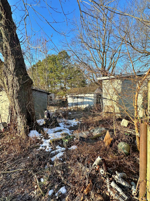 Listing Image 10