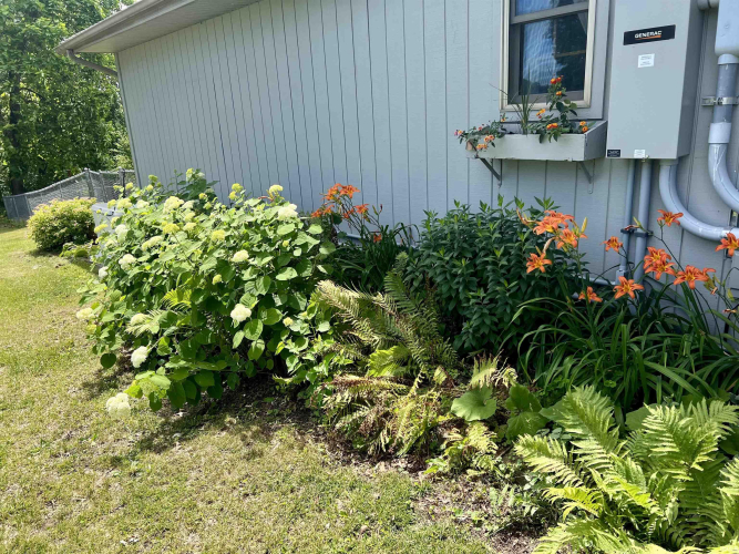 Listing Image 31