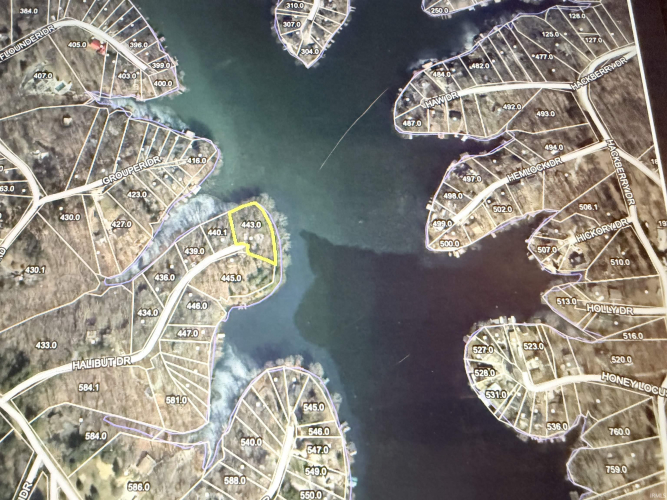 Listing Image 10