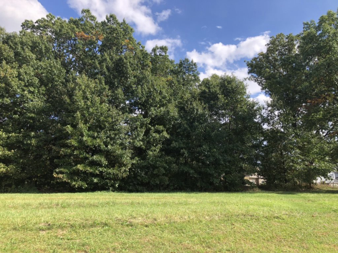 Listing Image 17