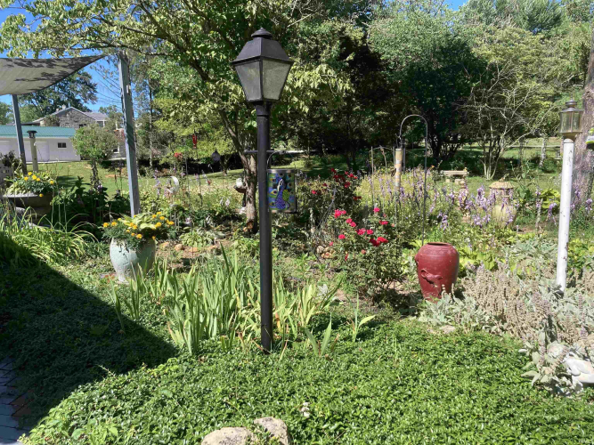 Listing Image 27