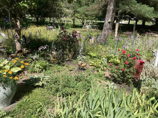 Listing Image 28