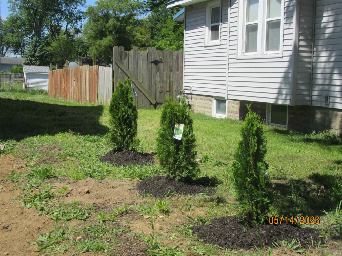 Listing Image 5