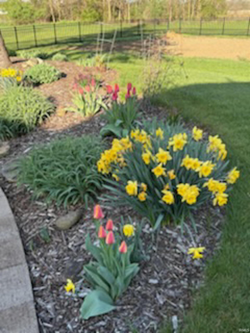 Listing Image 31