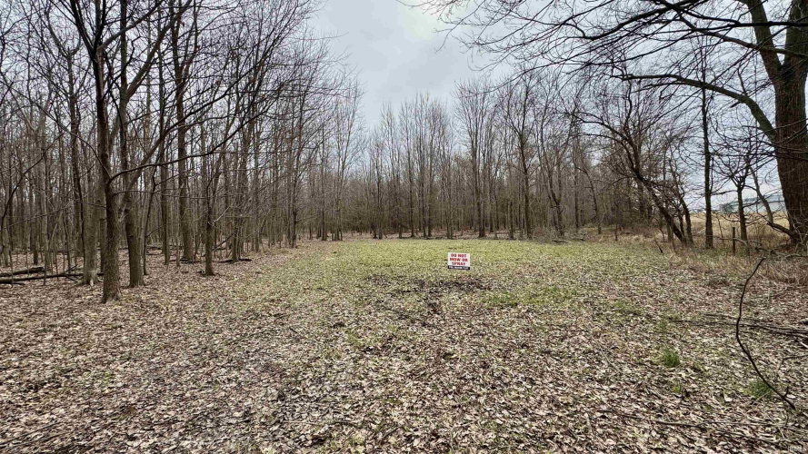 Listing Image 17