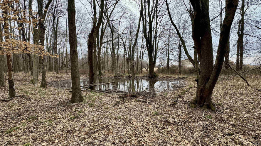 Listing Image 18
