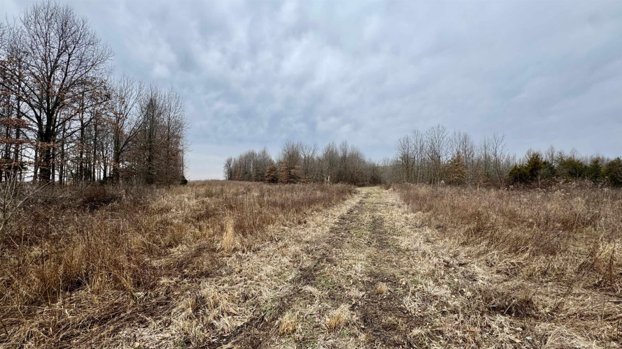 Listing Image 21