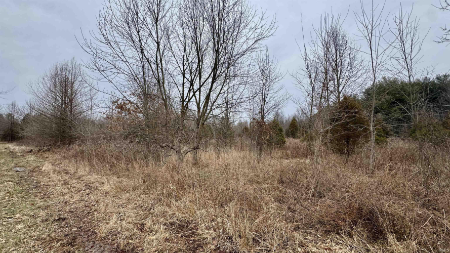 Listing Image 22