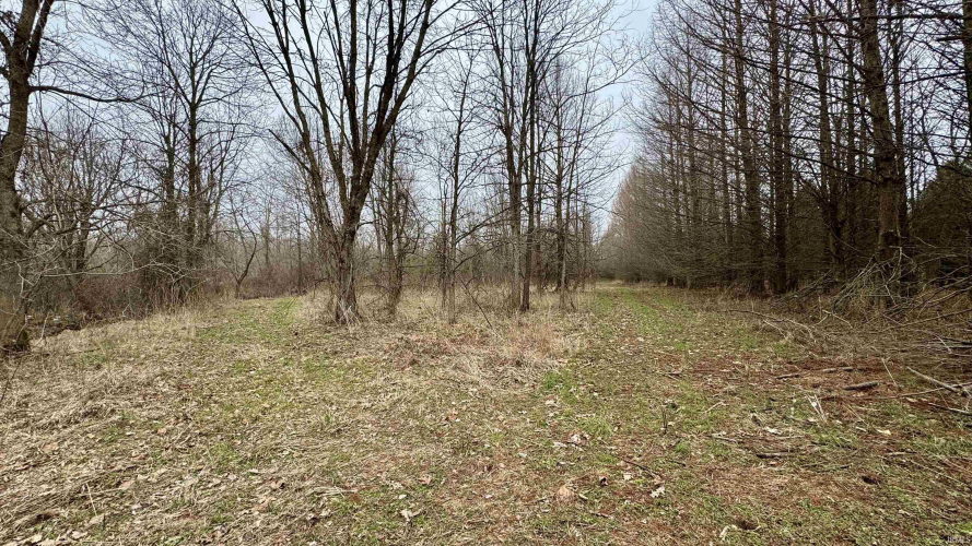 Listing Image 25