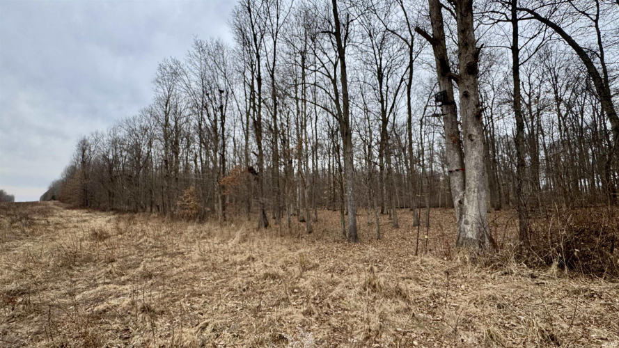 Listing Image 31