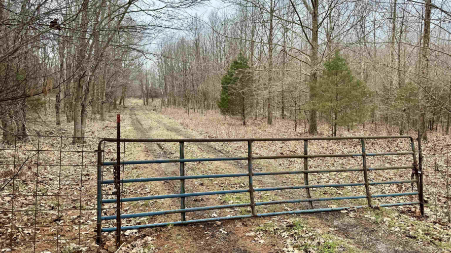 Listing Image 6