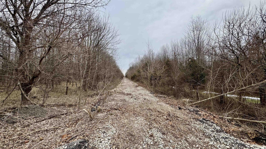Listing Image 8