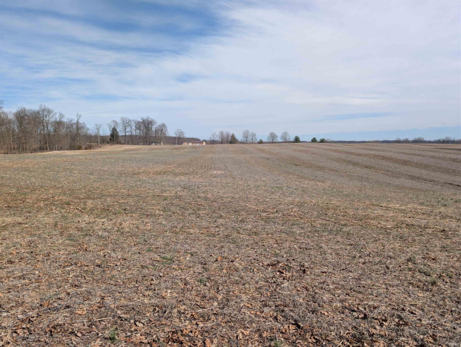 Listing Image 18