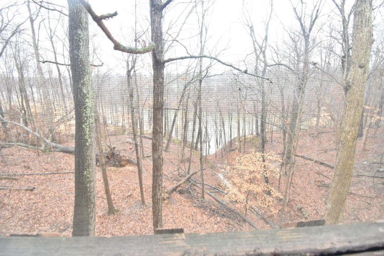 Listing Image 29