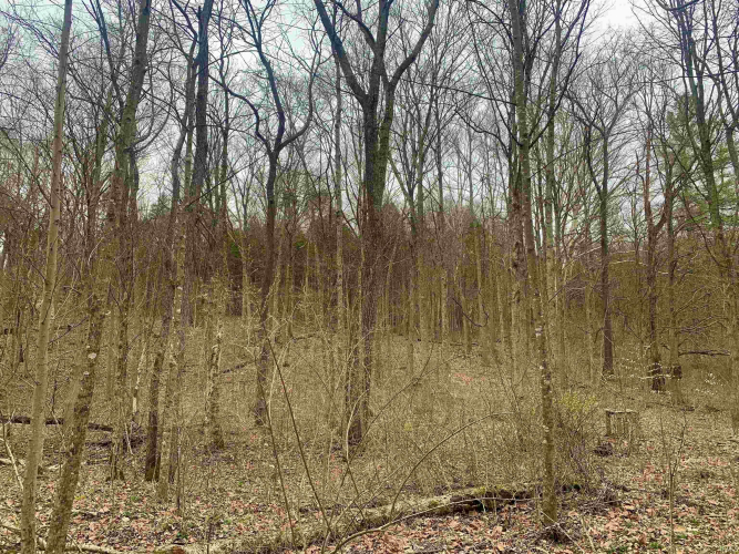 Listing Image 20