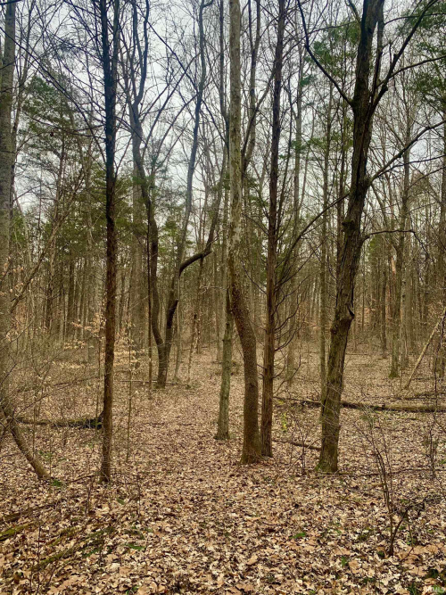 Listing Image 25