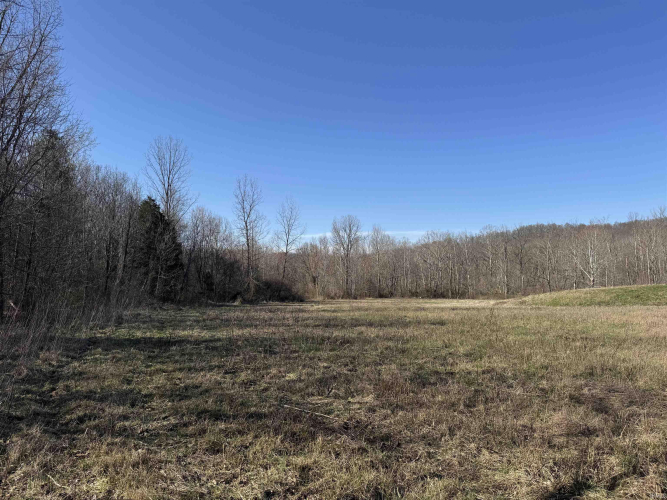 Listing Image 28