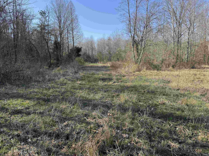 Listing Image 29