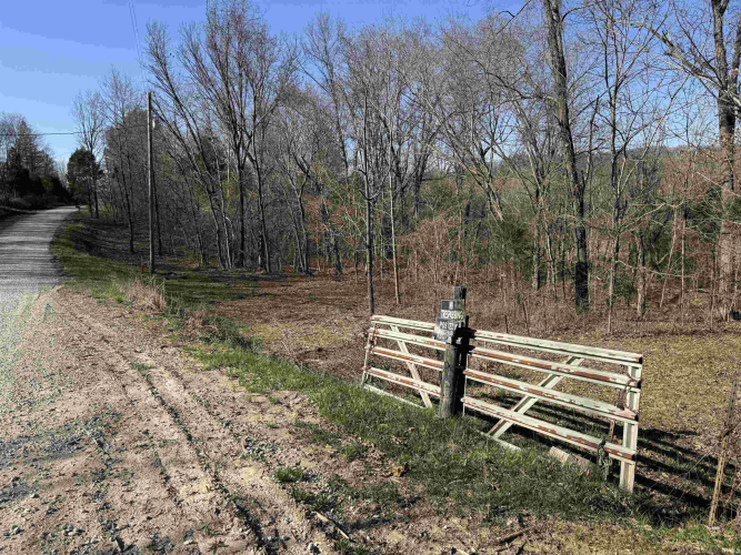 Listing Image 32