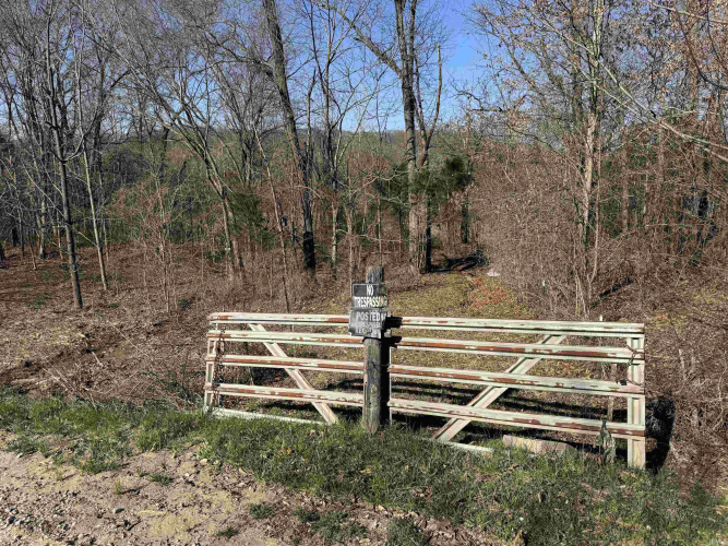 Listing Image 33