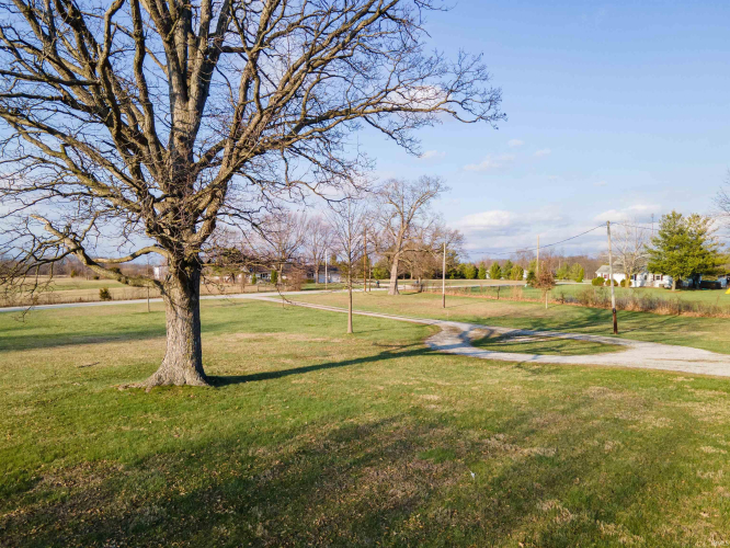 Listing Image 31