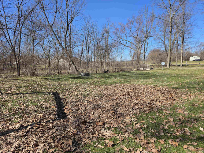 Listing Image 24