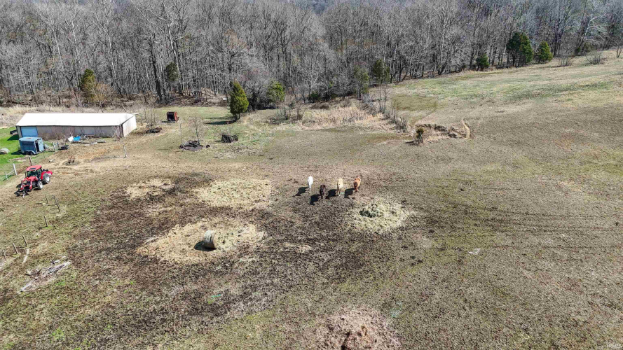 Listing Image 18