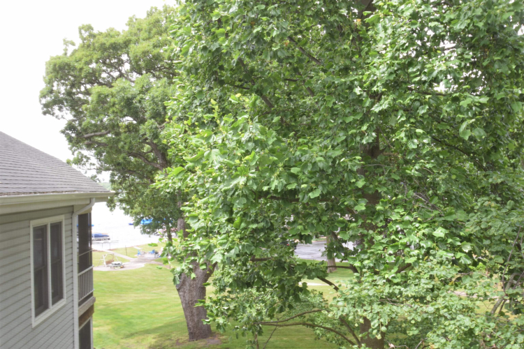 Listing Image 30