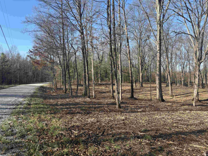 Listing Image 6