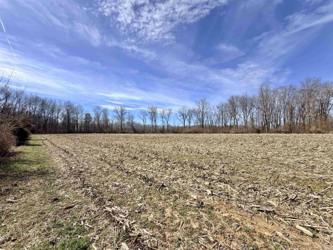 Listing Image 17