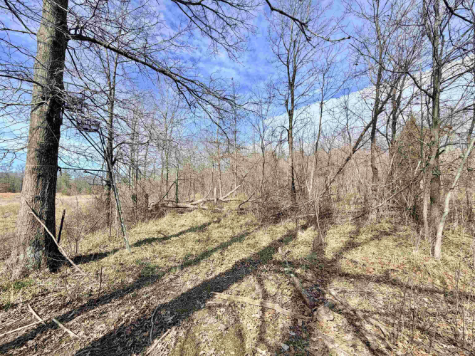 Listing Image 18