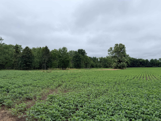 Listing Image 32