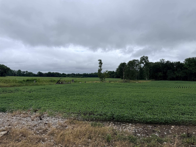 Listing Image 33