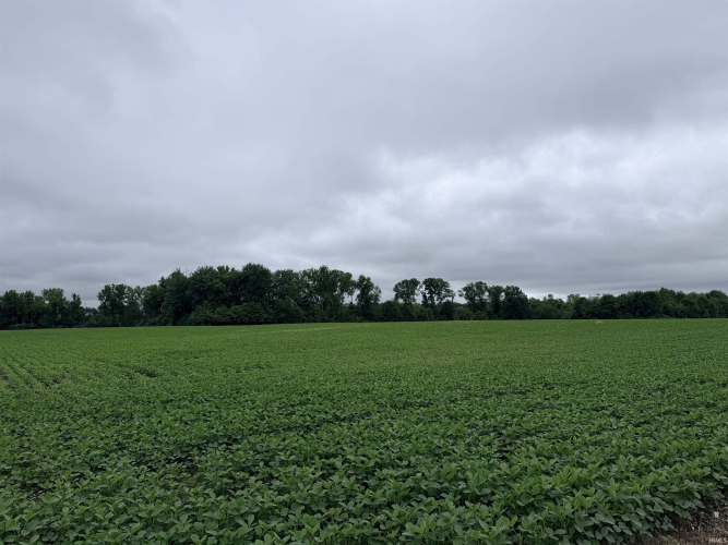 Listing Image 34