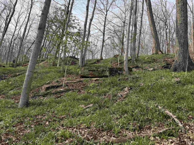 Listing Image 13