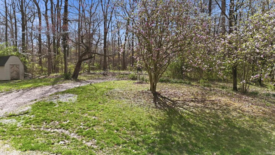 Listing Image 35