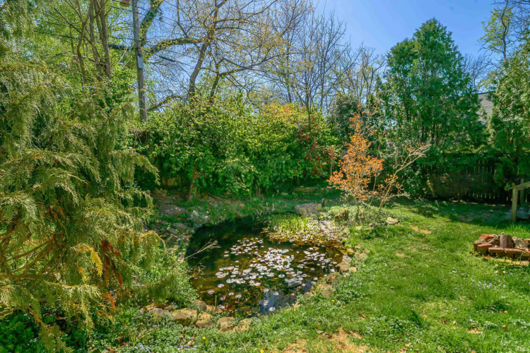 Listing Image 32