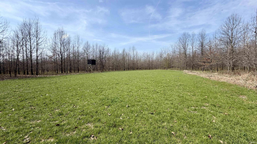 Listing Image 17