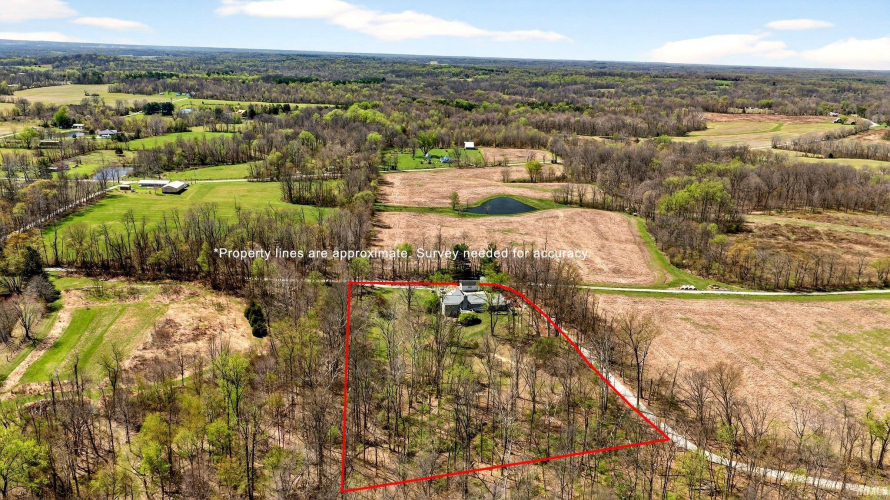 Listing Image 4