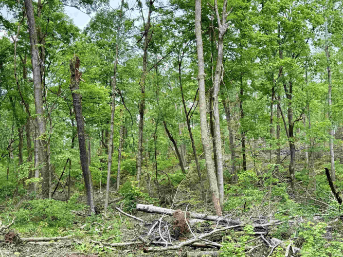 Listing Image 15