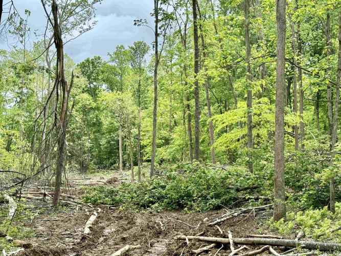 Listing Image 14