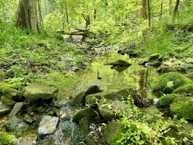 Listing Image 26