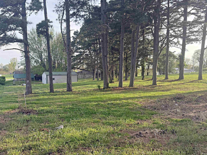 Listing Image 24